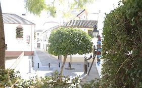Los Tejares del Alcazar